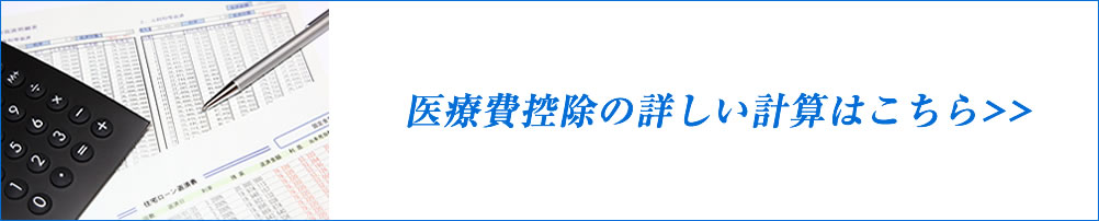 医療費控除額の計算