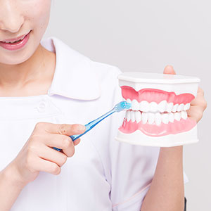 予防歯科診療・クリーニング