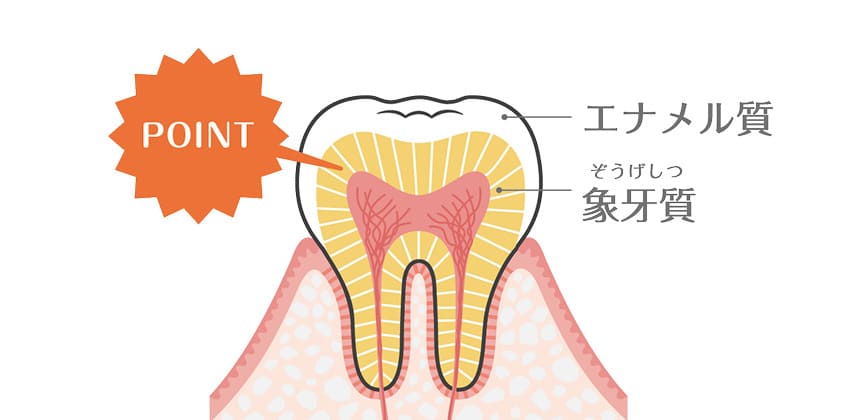 加齢による内部的な変化